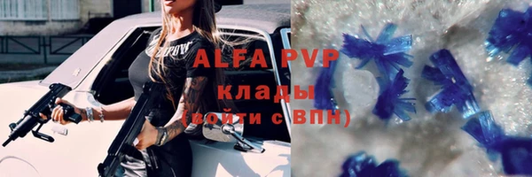 гашиш Богданович