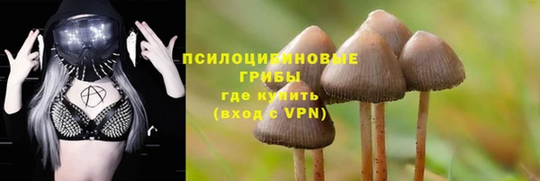 кристаллы Богородск