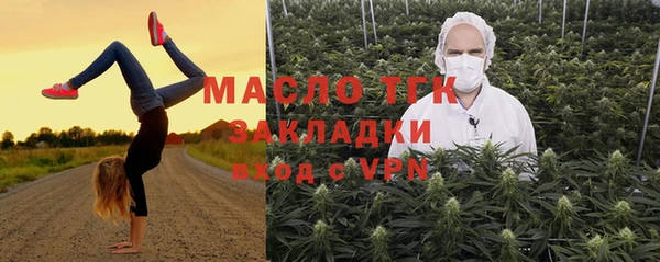 гашиш Богданович