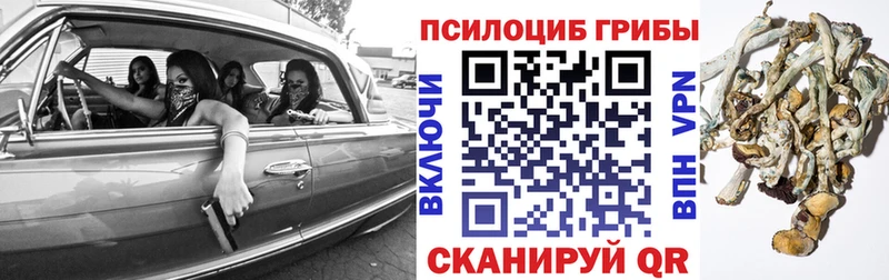 Псилоцибиновые грибы Magic Shrooms  Кириши 